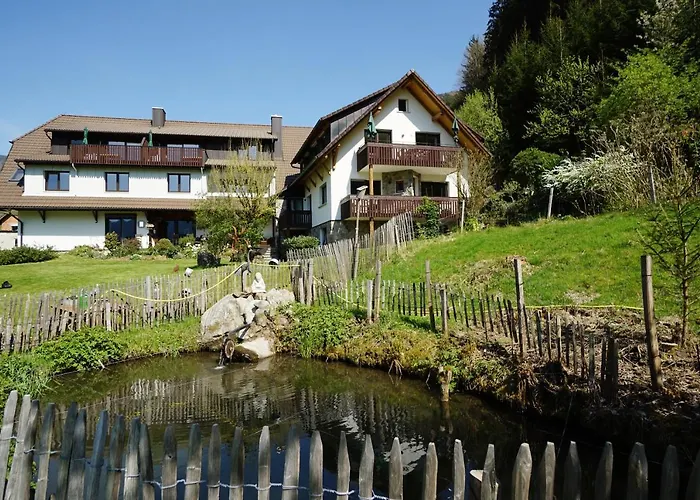 Rohrhardsberg - Stubenhof, Black Forest *