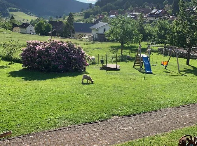 Rohrhardsberg - Stubenhof, Black Forest *